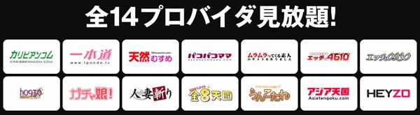 Hey動画 月額見放題プラン